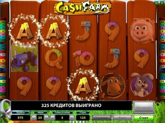 cash-farm-1